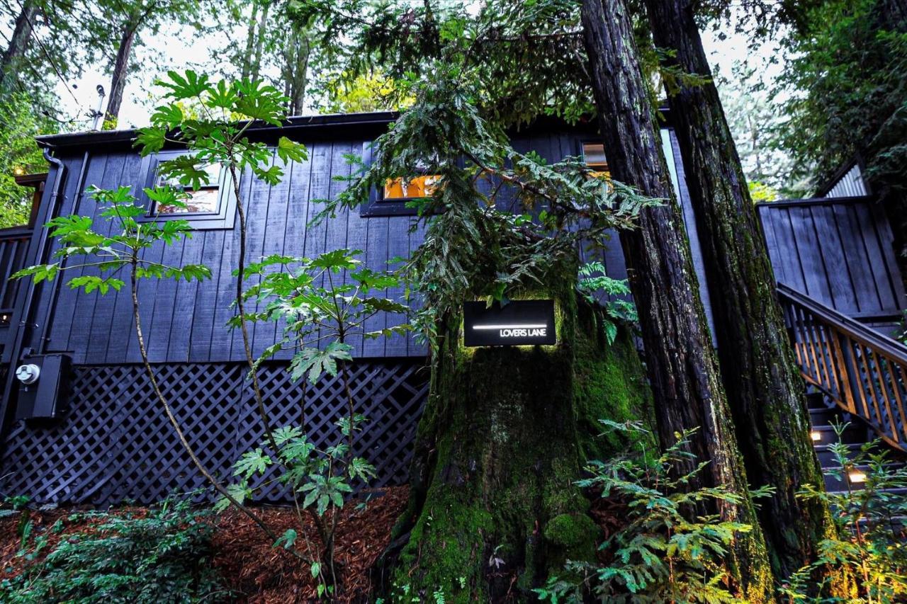 The Black Nest - Hot Tub Romantic Getaway Guerneville Exterior foto